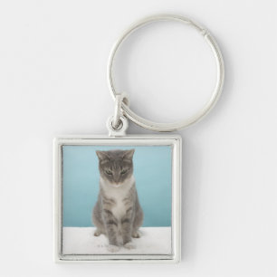 Cat looking at toy mouse on rug key ring