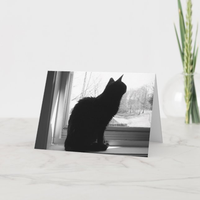 Cat Looking Out Card (Front)
