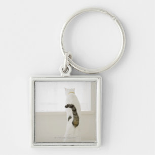 Cat looking out window, rear view key ring
