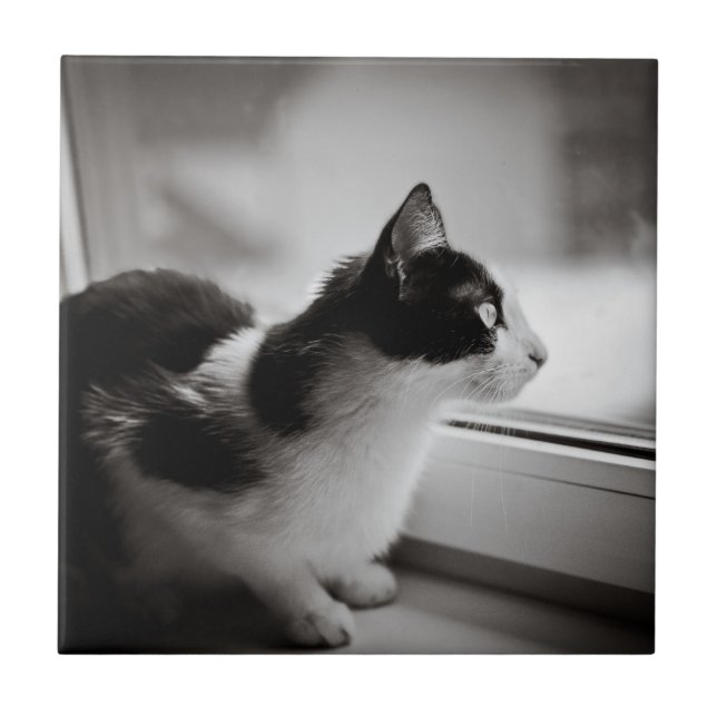 Cat looking outside ceramic tile (Front)