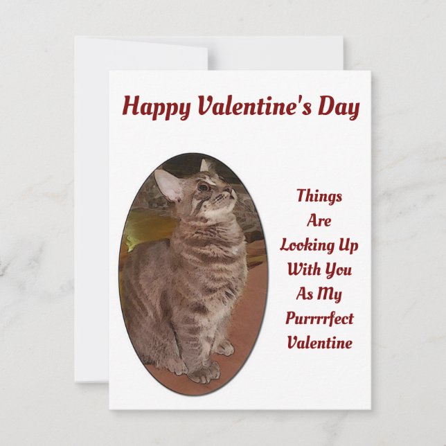 Cat Looking Up Digital Picture Valentine Quote Card (Front)