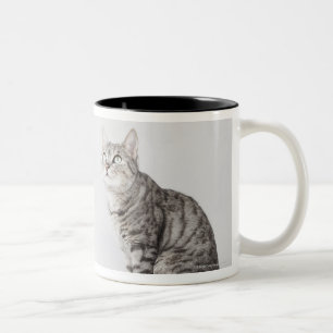 Cat looking up Two-Tone coffee mug