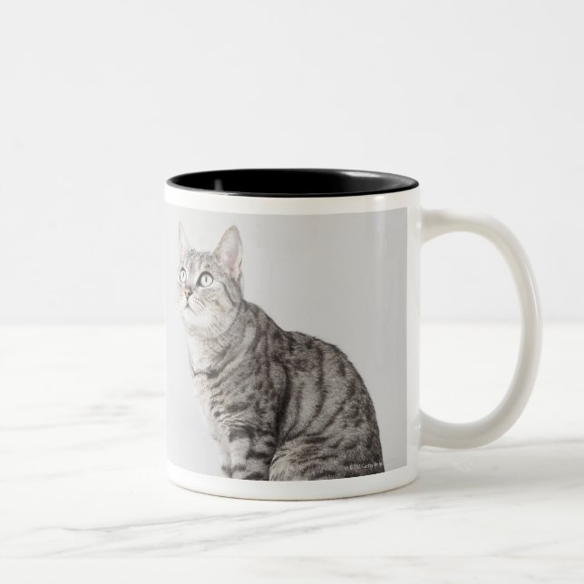 Cat looking up Two-Tone coffee mug (Right)