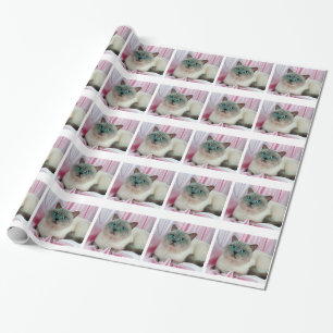 Cat Looking Wrapping Paper