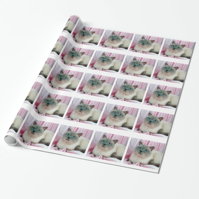 Cat Looking Wrapping Paper (Unrolled)