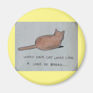 Cat looks like bread loaf cute funny food pastry magnet