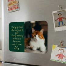 Cat Loss Memorial Personalised Photo Pet Name