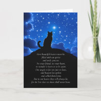 Cat Loss Sympathy with Cat Looking into Heavens