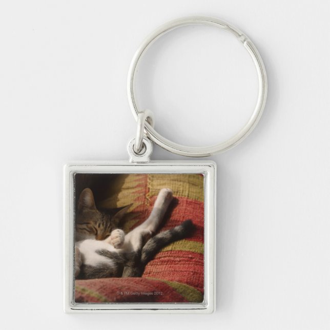 Cat Lounging Key Ring (Front)