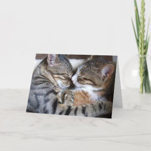 Cat Love Card