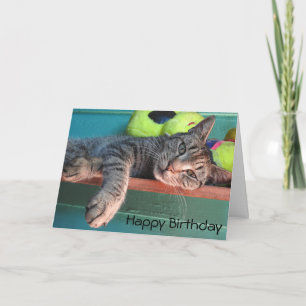 Cat Love "Happy Birthday" Card