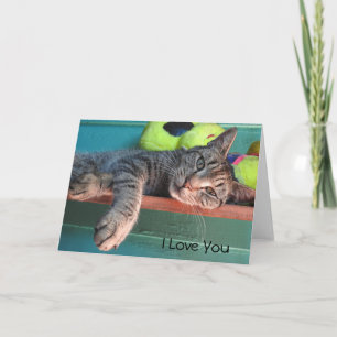 Cat Love "I Love You" Card