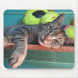 Cat Love Mouse Pad