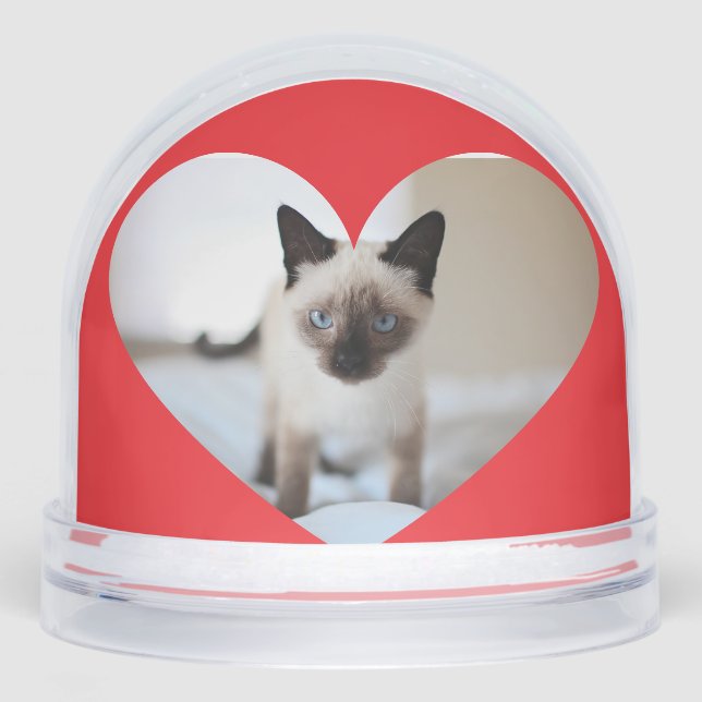 Cat love  snowglobe (Front)