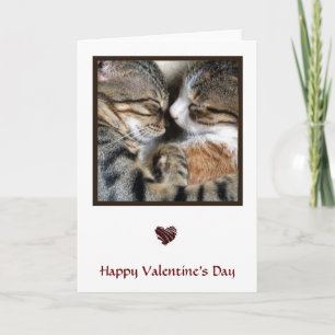 Cat Love Valentine Card