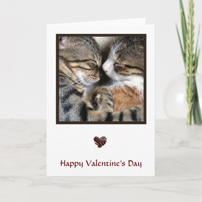 Cat Love Valentine Card (Front)