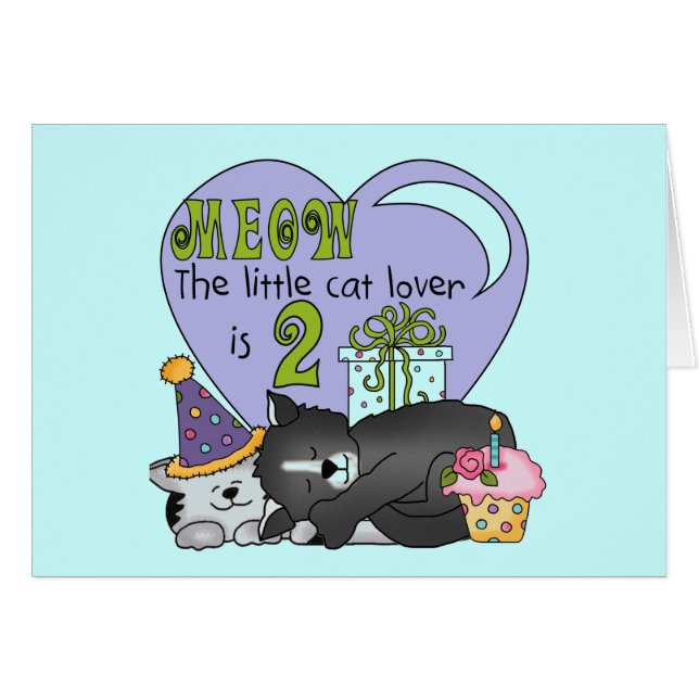 Cat Lover 2nd Birthday Tshirts and Gifts (Front Horizontal)
