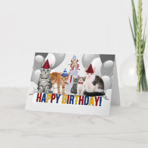 Cat Lover Birthday from the Group Card