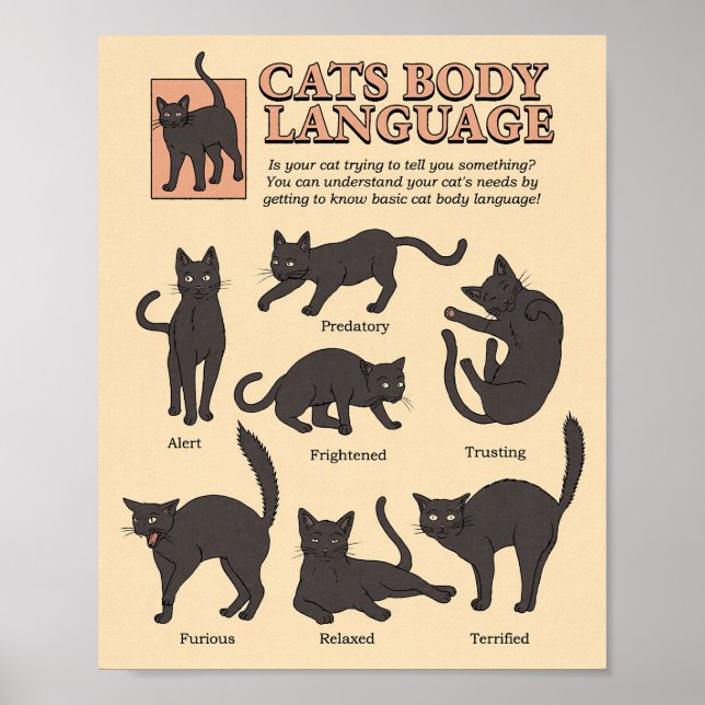 Cat Lover Cats Body Language Poster (Front)
