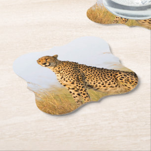 Cat lover cheetah photo paper coaster