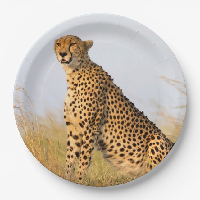 Cat lover cheetah photo paper plate (Front)