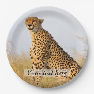 Cat lover cheetah photo personalised paper plate