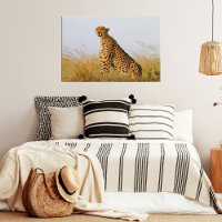 Cat lover cheetah photo