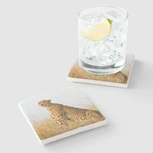 Cat lover cheetah photo stone coaster