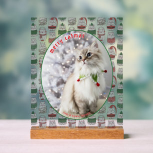 Cat Lover Cute Festive Cat Photo Christmas Acrylic Sign