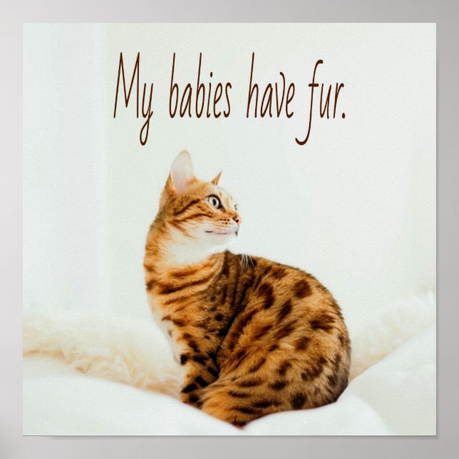 Cat Lover, Cute Kitten Meme, My babies have Fur Poster (Front)