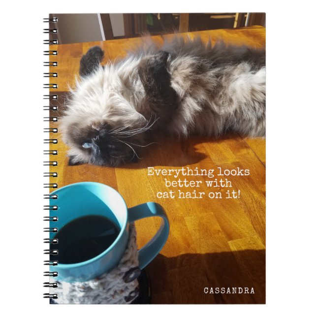 Cat Lover - Everything Looks Better with Cat Hair Notebook (Front)