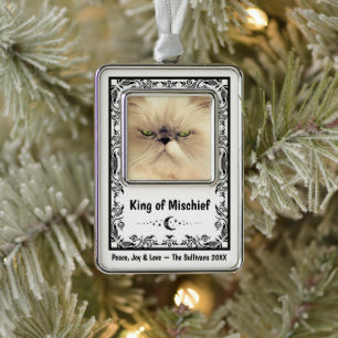 Cat Lover Funny Family Friends Keepsake Mum Dad Silver Plated Framed Ornament