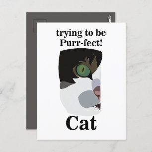 Cat Lover Funny Postcard