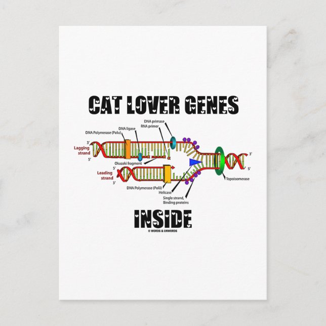 Cat Lover Genes Inside (DNA Replication) Postcard (Front)