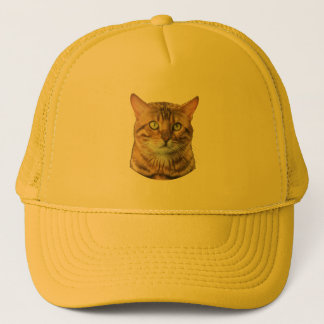 cat lover gift-cat personality trucker hat