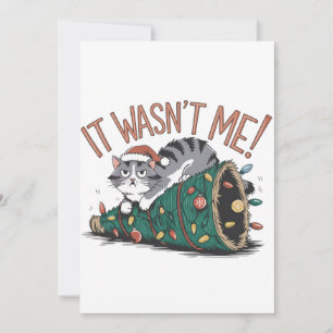 Cat Lover Gift It Was Not Me Invitation