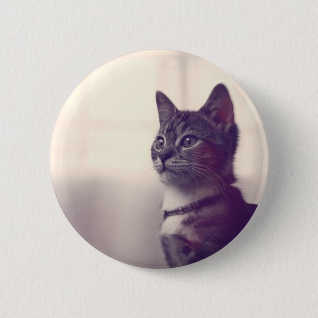 Cat lover gifts, cat pinback buttons (Front)