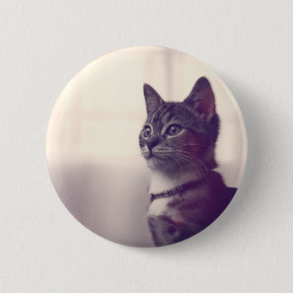 Cat lover gifts, cat pinback buttons