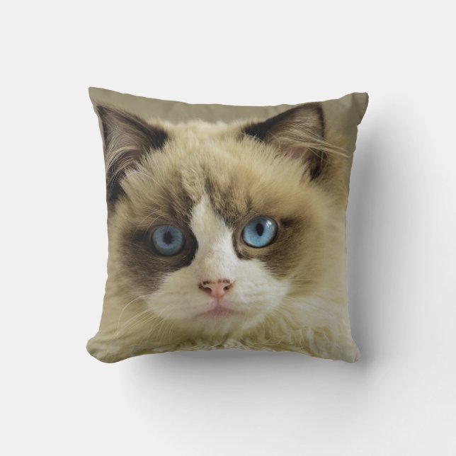 Cat Lover Personalised Pet 2 Photo Custom Cushion (Front)