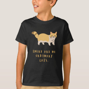 cat lover shirt - ordnary