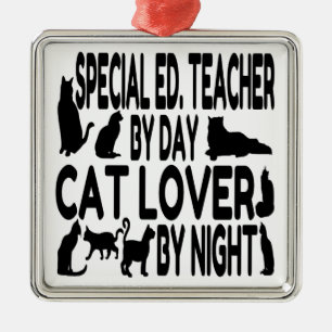 Cat Lover Special Education Teacher Metal Ornament