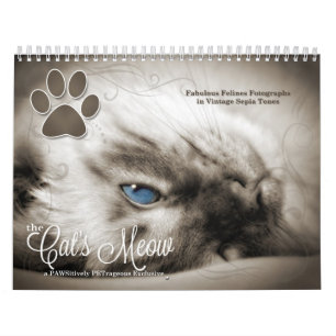Cat Lover the Cat's Meow 12 Month Calendar