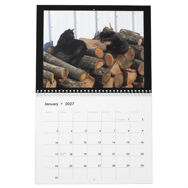 Cat Lovers 2014 Calendar--EDIT YEAR as needed Calendar (Jan 2027)