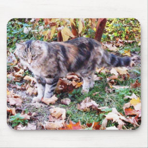 Cat Lovers Autumn Cat Photo Mouse Pad