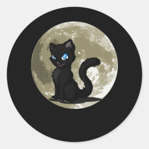 Cat Lovers Black Cat Moon Gift Idea Classic Round Sticker