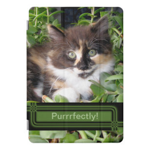 Cat Lover's Calico Kitten iPad Pro Cover