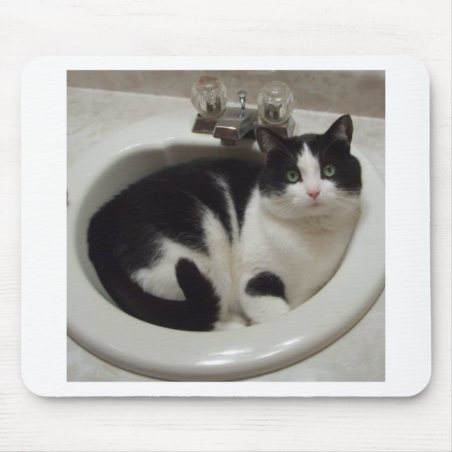 Cat lovers delight mouse pad (Front)