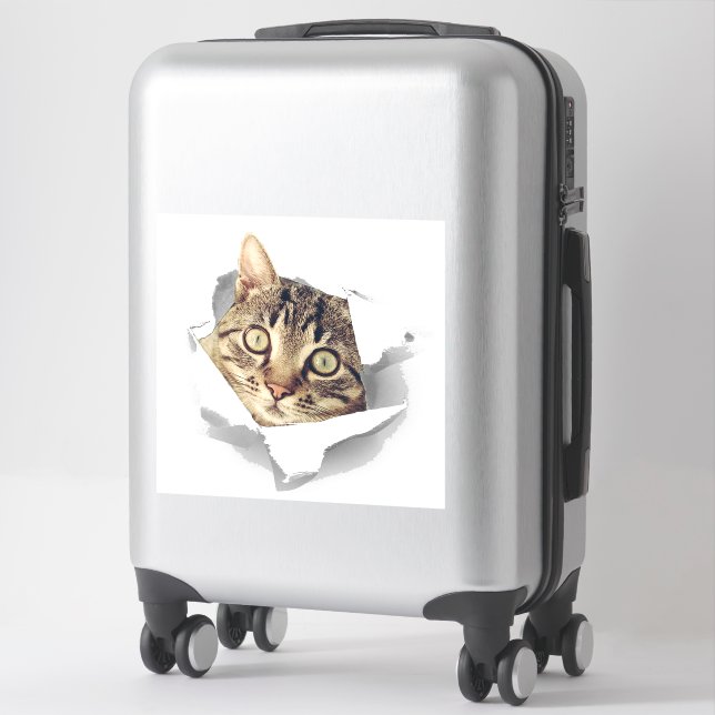 Cat Lovers Face Fun (Suitcase)
