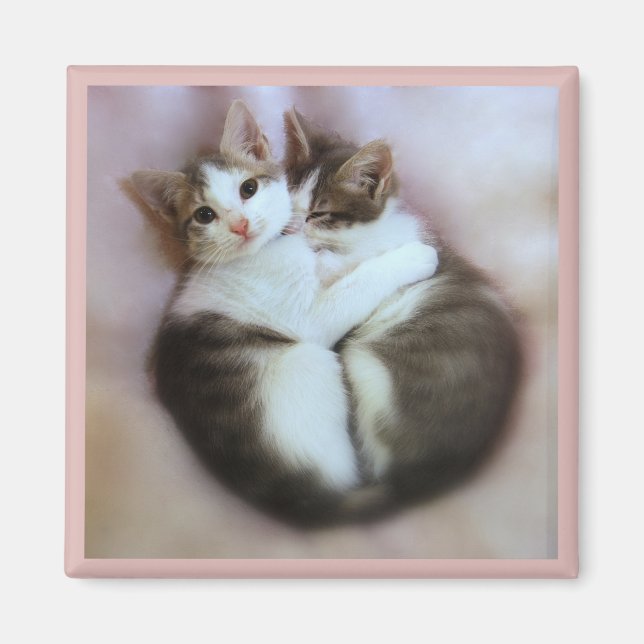 Cat Lovers Magnet (Front)
