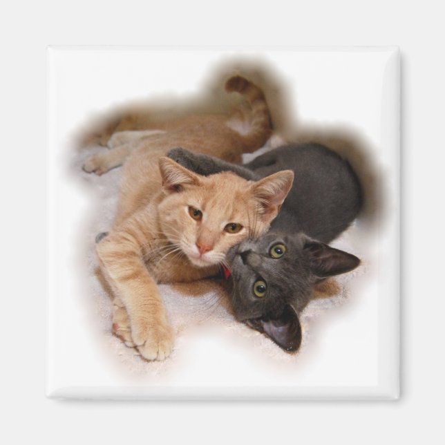 Cat Lovers Magnet (Front)